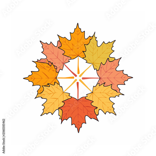 Radial Symmetry of Colorful Maple Leaves on White