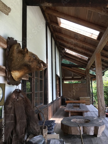 Konstfotografi Boar head taxidermy displayed on a traditional Japanese house