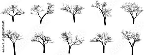 Set of leafless winter tree silhouettes