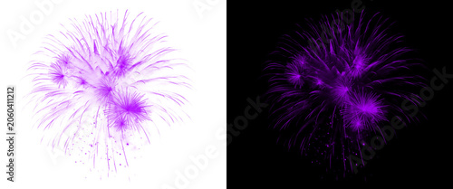 Fotografija Purple fireworks explosion on white and black backgrounds, vibrant pyrotechnic b
