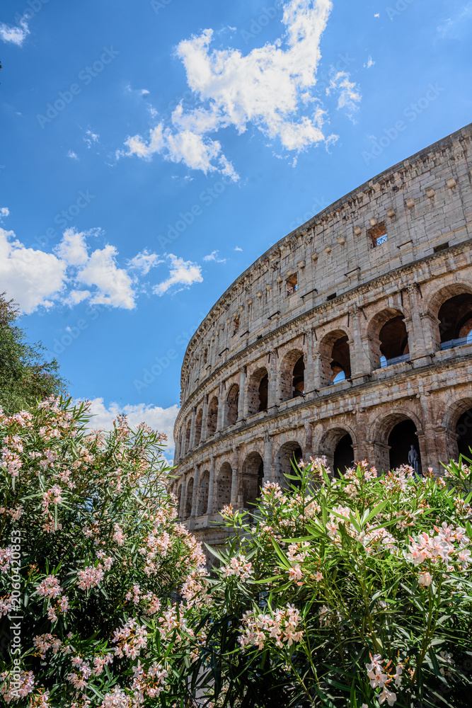 Obraz premium colosseum in rome italy with flowers