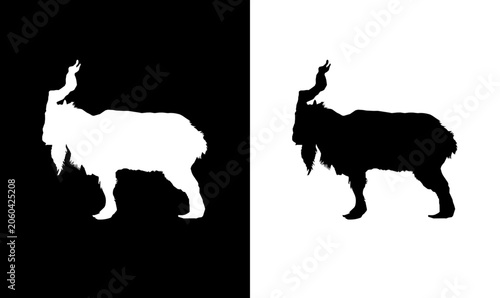 Schilderij op canvas goat silhouette vector illustration, black silhouette of goat, silhouette of goa