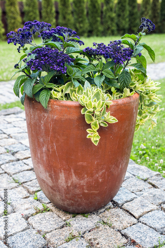 Old clay flower pot filled with blooming flowers on a stone garden terrace, symbolizing simplicity, nature and peaceful outdoor living