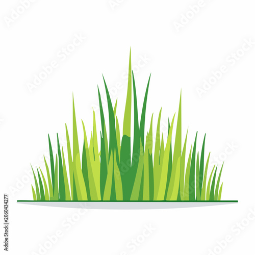 Green Grass Illustration