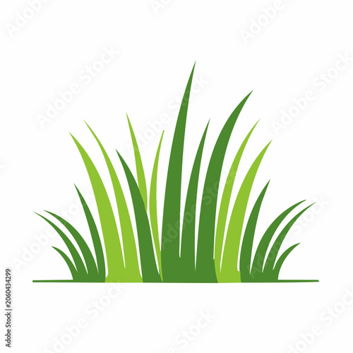 Green Grass Blades Illustration