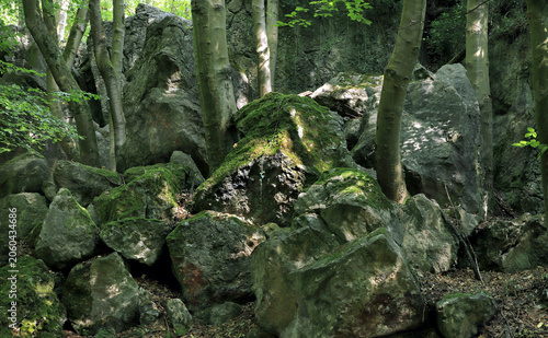 Foto Felsenmeer bei Hemer im Sauerland, es ist ein beeindruckendes nationales Geotop und Naturschutzgebiet, das durch bizarre Kalksteinformationen und tiefe Schluchten besticht