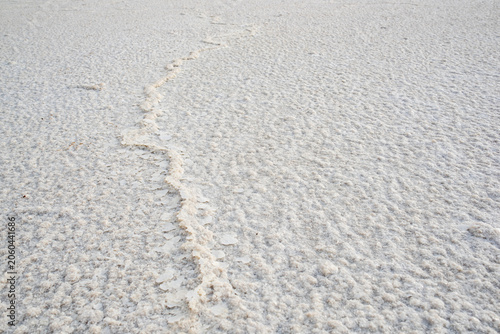 Fotografía Detail of white salt crust in the Danakil Depression