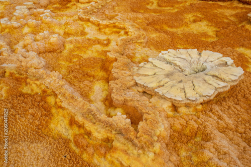 Photos Flower-shaped salt formation at Dallol volcano, Danakil