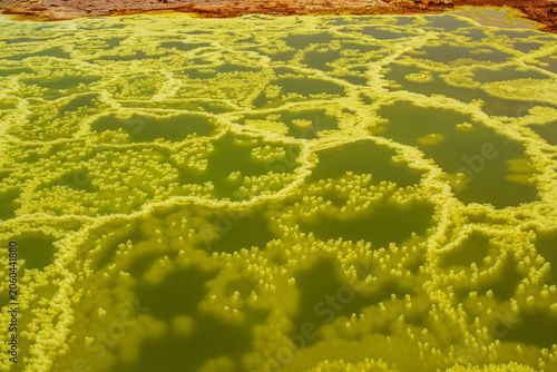 Vászonkép Acid pools and sulfur formations in the Dallol desert