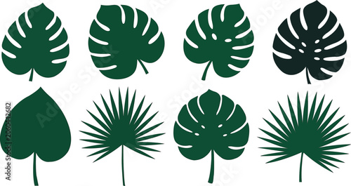Diverse Green Tropical Leaf Silhouettes Collection tropical leaves monstera leaf Grainy
