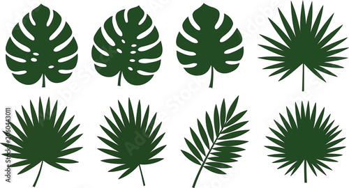 Assortment of Green Tropical Leaf Silhouettes tropical leaves monstera leaf Grainy