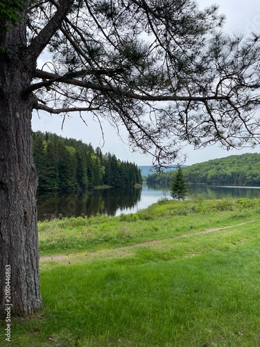 Nature Québec - Canada