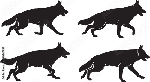 Fotografie Four wolves running silhouettes, editable vector illustration, wild animal pack