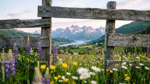 Wildflowers in bloom framing a distant mountain vista during golden hour with a rustic wooden fence