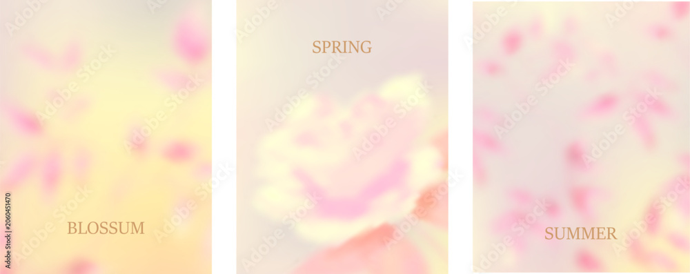 Obraz premium Soft floral gradient background with spring leaves.