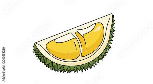 Cut slice of a fresh durian fruit showing yellow flesh and spiky green skin represents exotic tropical food from southeast asia.