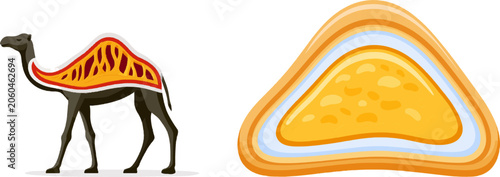 A flat vector illustration of a dromedary camels hump reveals dense yellow adipose tissue beneath thick skin in a clean, white background