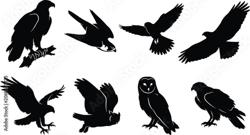 Photography Black and white vector silhouette set of birds of prey featuring flying eagles,