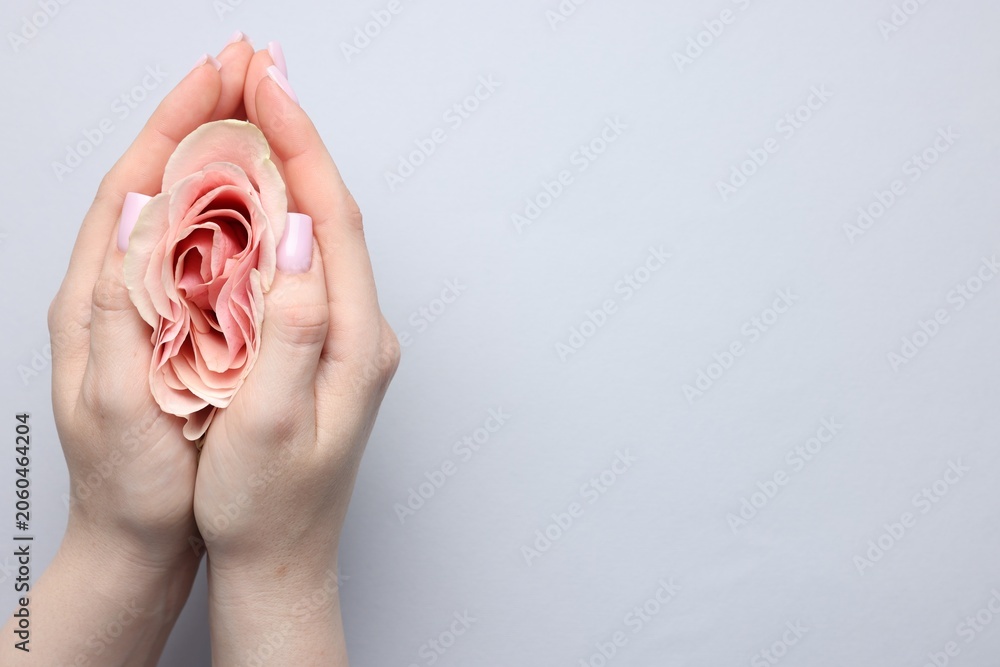Naklejka premium Gynecology. Woman with beautiful rose on grey background, top view. Space for text