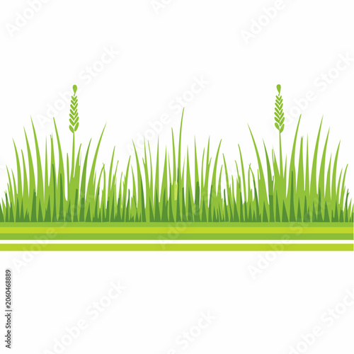 Green Grass Border with Wheat Stalks