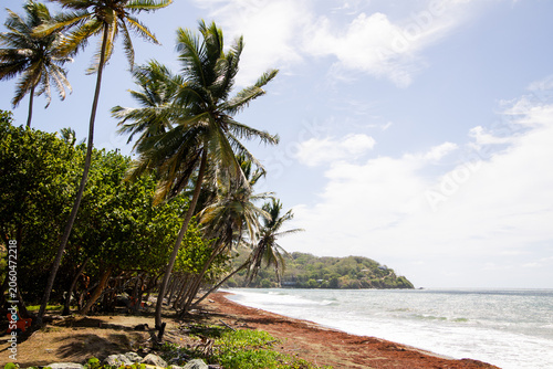 Canvastavla Tropical Coastline with Palm Trees Seen from Fort Tobago