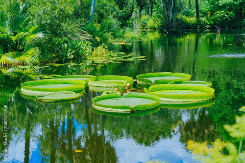 The landscape of Bok tower garden in lake wales of Florida