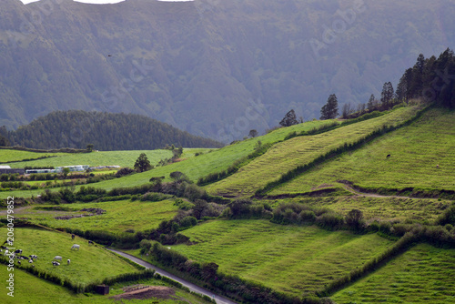 Volcanic Slopes of Farmland
