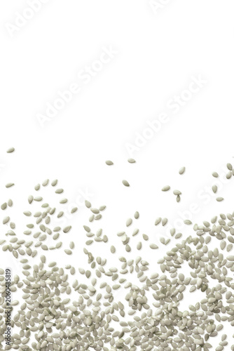 White sesame seeds border template copy space