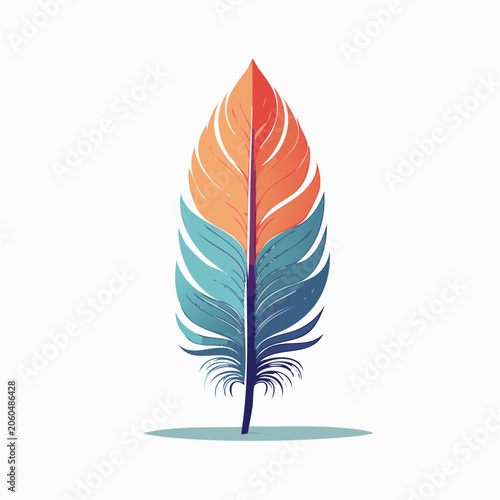 Colorful Feather Illustration