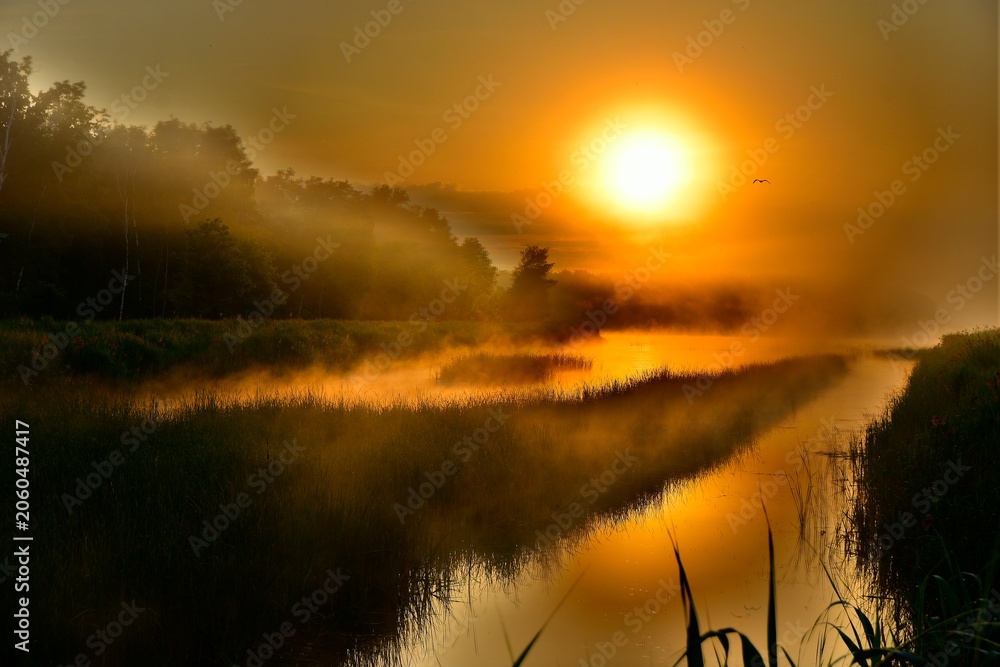 Fototapeta premium Beautiful golden sunrise over a maisty river in the morining