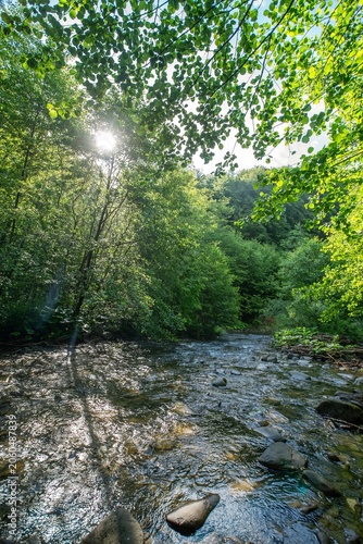 Sunbeam Flashes Through Green Summer Trees Over Wild Stony Mountain River