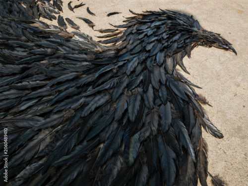 Surreal shadow of a bird formed by many black feathers on a light background. Generative AI.