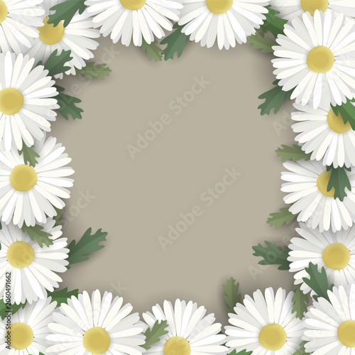 Flower frame with daisies on beige background.