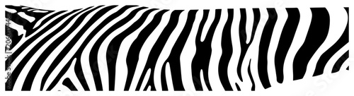 Photos Zebra stripes pattern texture animal skin print seamless style black and white v