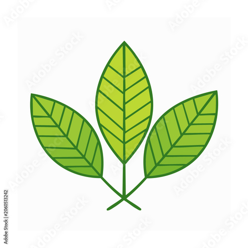 Three green leaves icon on transparent background