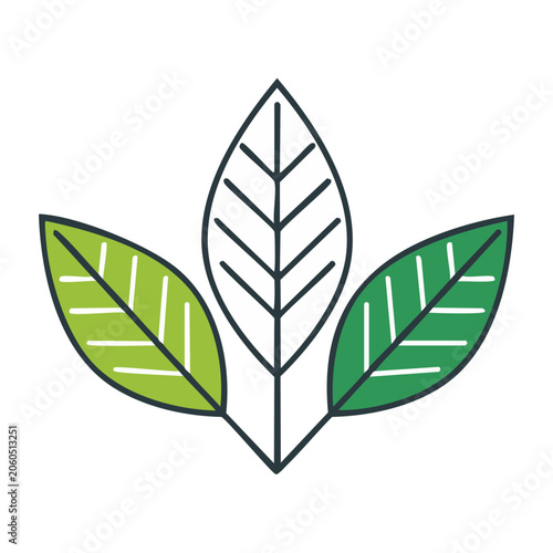 Three green leaves icon with transparent background