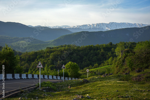 Scenic Mountain Road Through Lush Green Forest with Snow-Capped Peaks