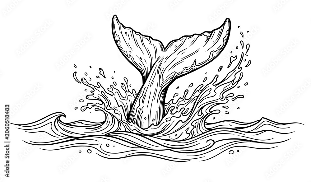 Obraz premium SEO Title: Whale Tail and Ocean Splash Hand Drawn Black White Vector Illustration Isolated on White