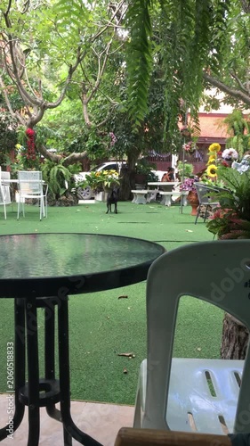 Looking over a glass patio table and plastic chair from behind them out into a greenspace in a temple ground in Thailand.
