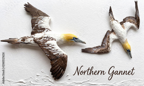 A 3D illustration of two Northern Gannets—with yellow heads and brown wings—soaring through the air and diving against a backdrop of choppy seas.