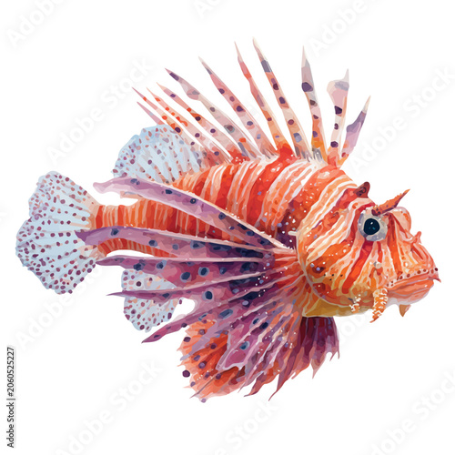 Tableau sur toile Lionfish, isolated watercolor element on white background