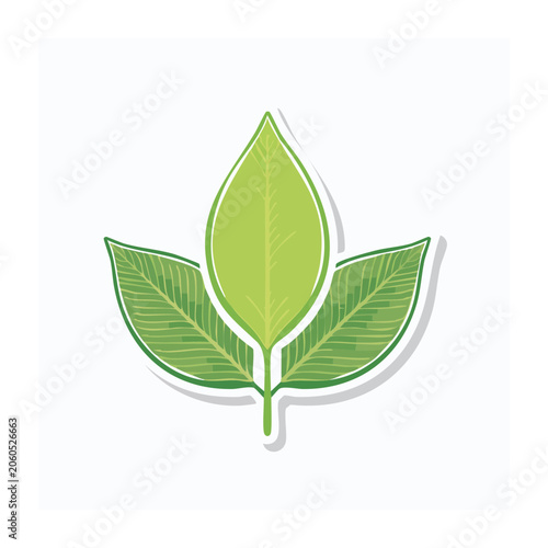 Green Leaf Vector Icon with Transparent Background