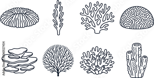 Εκτύπωση καμβά Hand Drawn Coral Collection, Marine Reef Line Art Set, Ocean Botanical Elements,