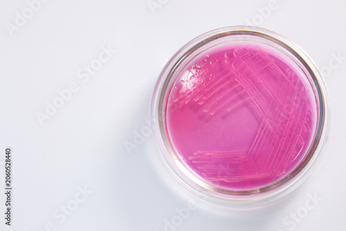 Foto Microbiology Laboratory