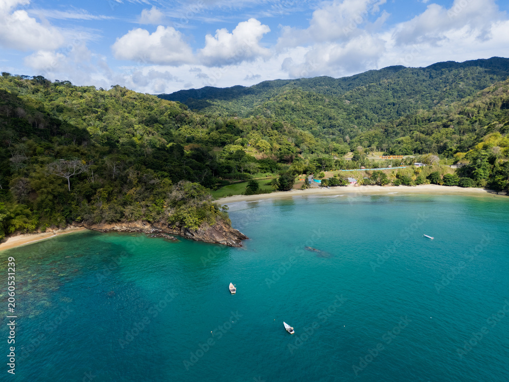 Naklejka premium Drone Shot of Forested Bay with Sandy Beach Tobago