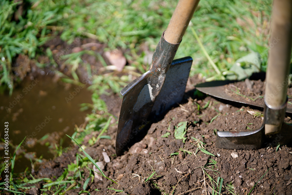 Fototapeta premium Close-up of metal garden spades resting in loose soil during outdoor landscape maintenance. Concept of agricultural labor and construction. Photo