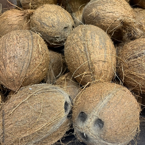 Close-up pile of whole raw coconuts with fibrous brown husks