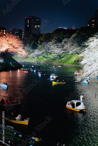 千鳥ヶ淵の夜桜ライトアップとボート