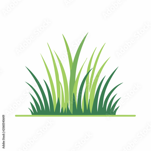 Green Grass Illustration