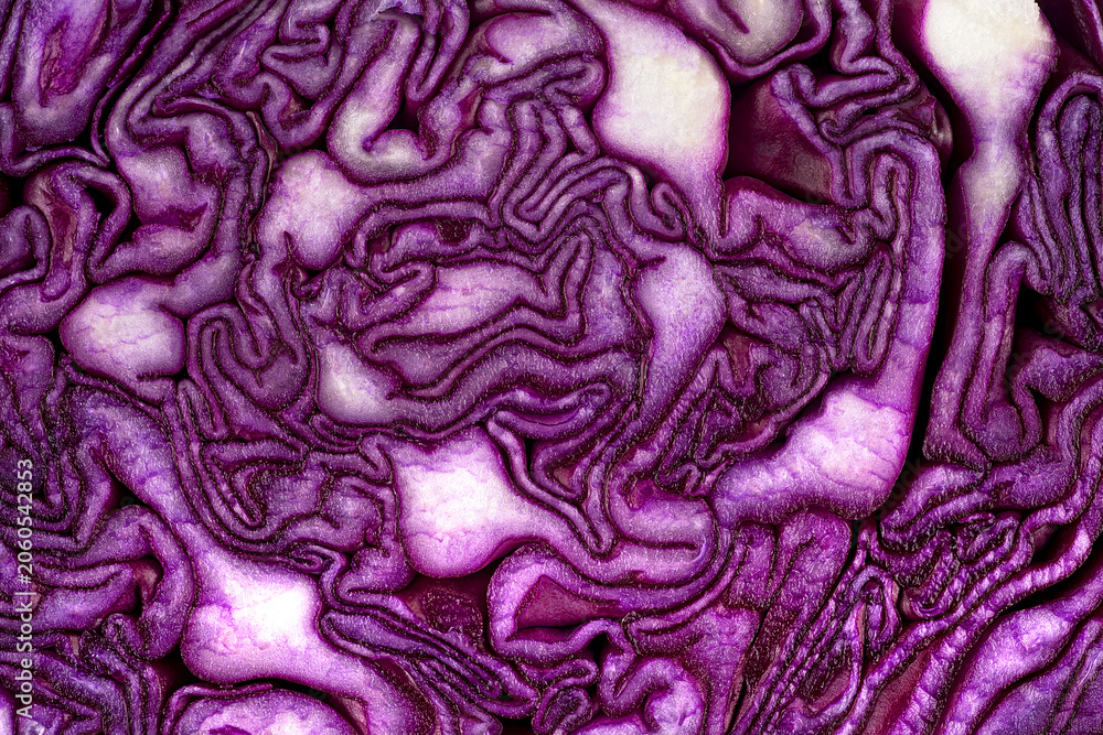Obraz premium Half of fresh red cabbage texture, as background. Healthy food, fresh vegetables.